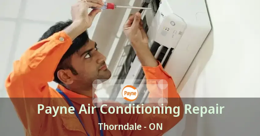 Payne Air Conditioning Repair Thorndale - ON