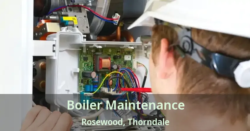 Boiler Maintenance Rosewood, Thorndale - ON