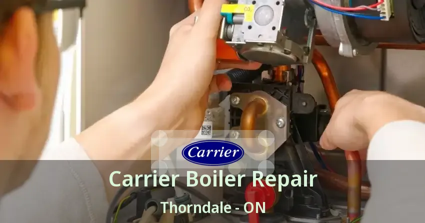 Carrier Boiler Repair Thorndale - ON