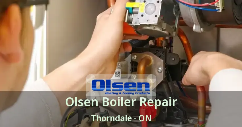 Olsen Boiler Repair Thorndale - ON