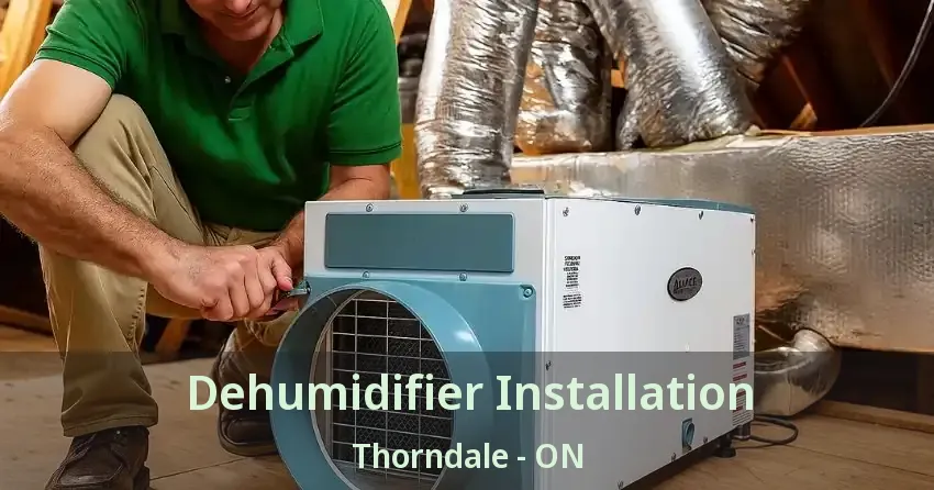 Dehumidifier Installation Thorndale - ON