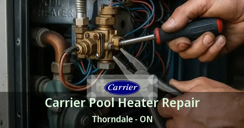 Carrier Pool Heater Repair Thorndale - ON