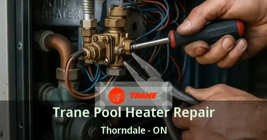 Trane Pool Heater Repair Thorndale - ON